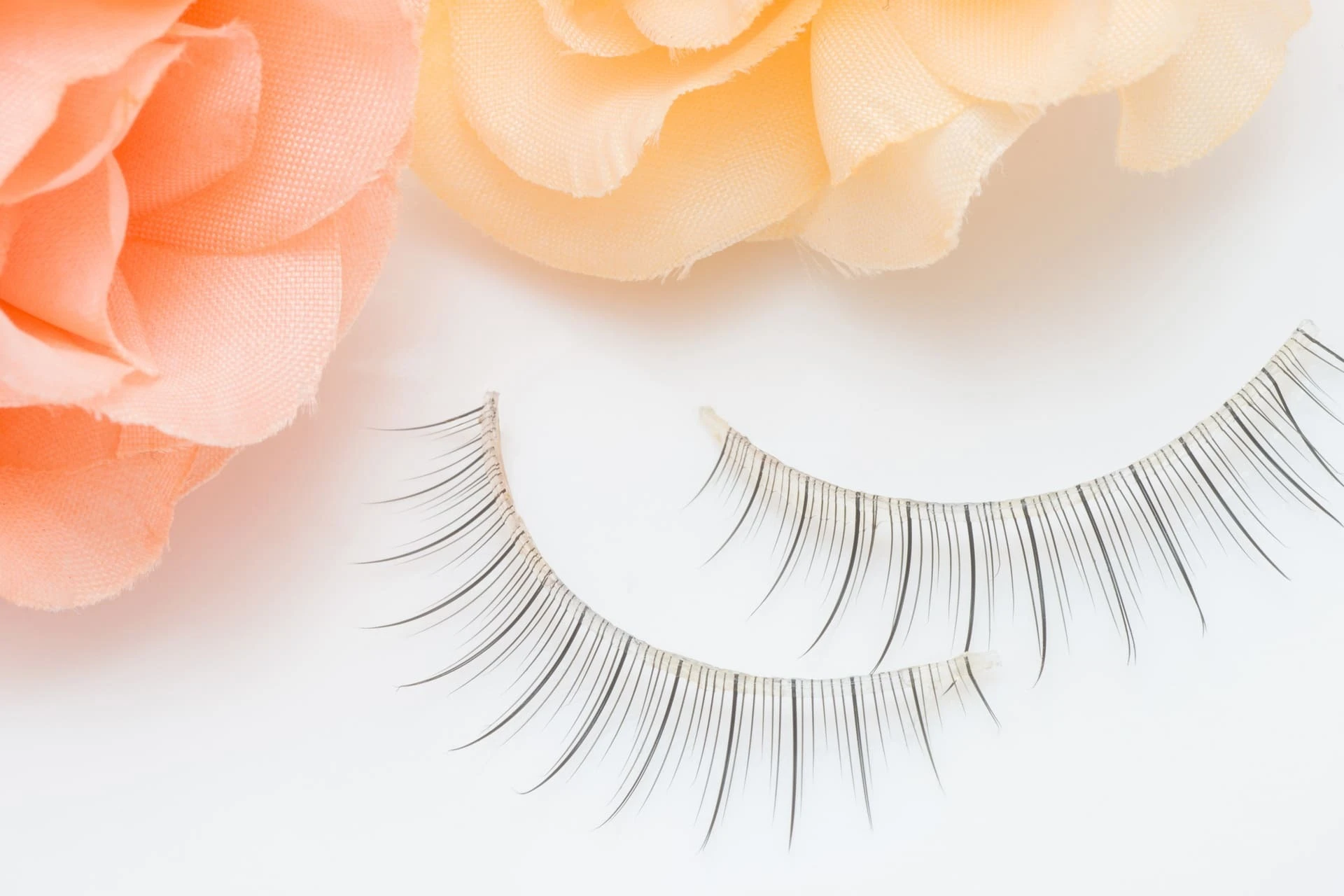 AdobeStock_100997021